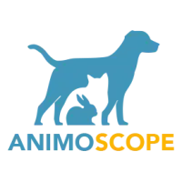 Animoscope : Votre guide en ligne pour la santé de votre animal de compagnie
